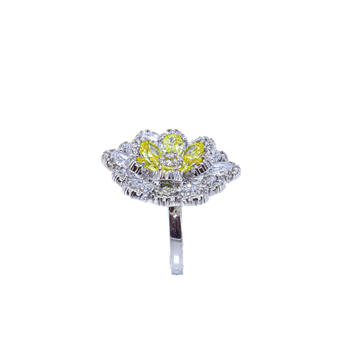 LUMIERE FLEUR